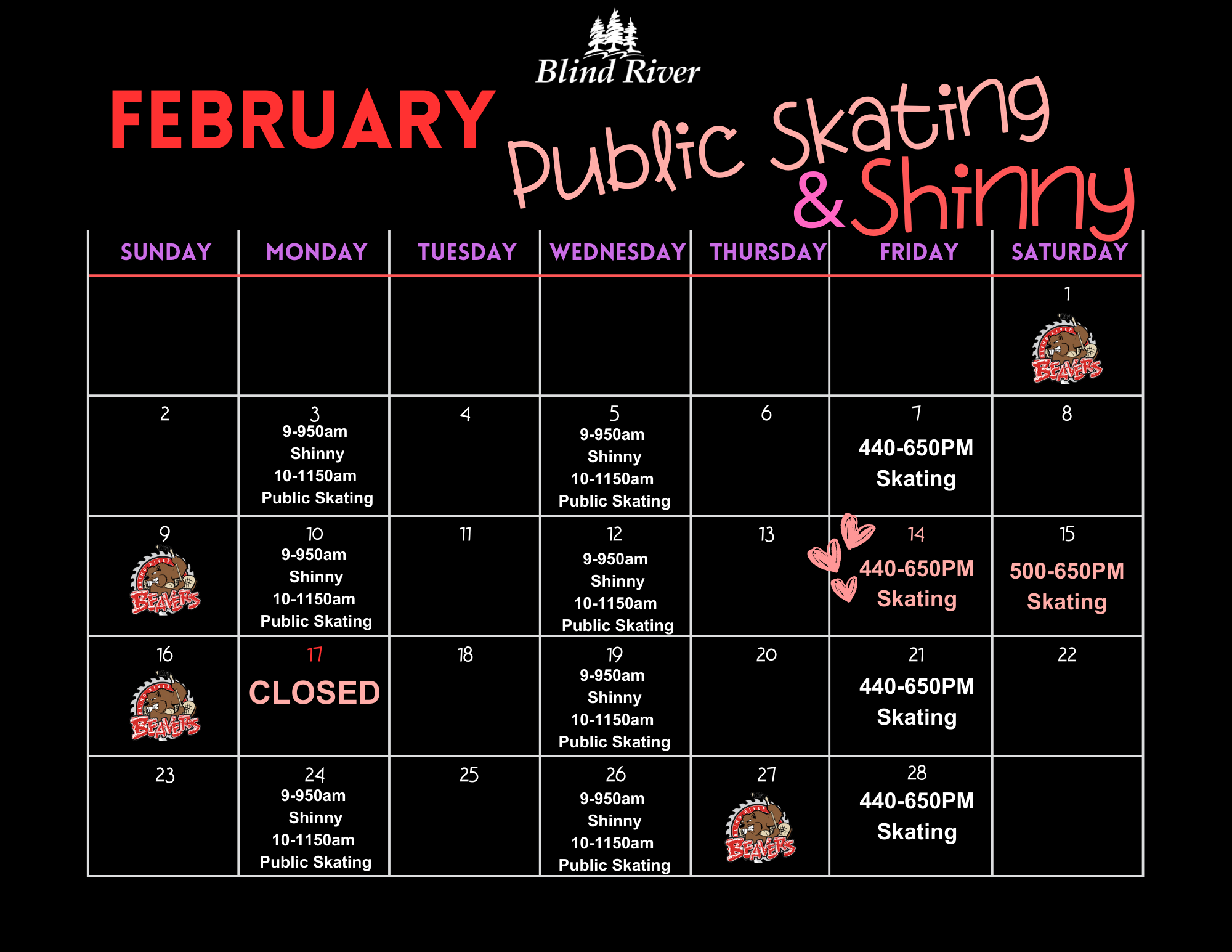 February Public Skating schedule 2025