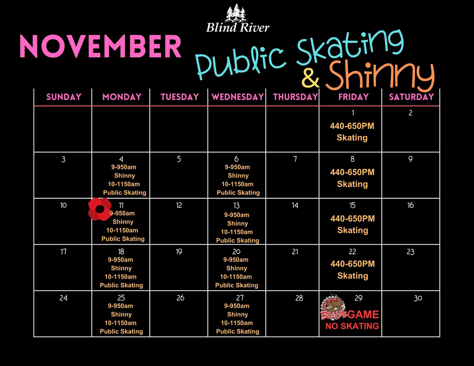 Public Skating Shinny Calendar November