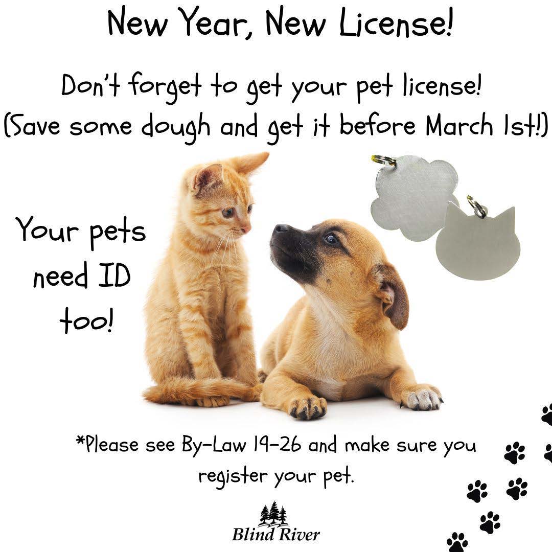 Pet license poster